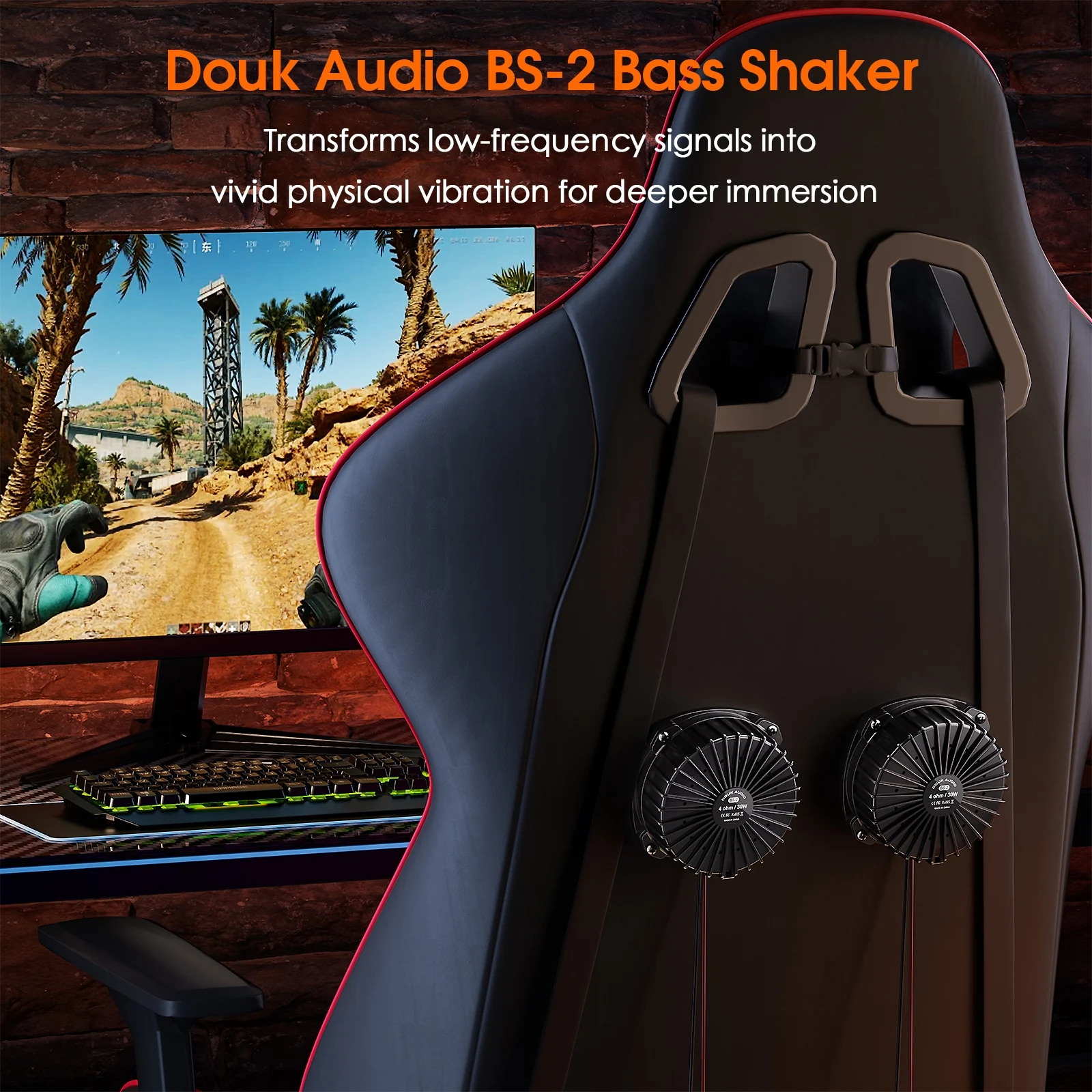 Douk Audio BS-2 30W 4Ω Bass Sh - Gaming Home Accessories recensione e prezzo